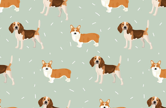 Corgi Pet Mural Animal Wallpaper Art Design