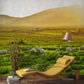 Hallway Decoration Featuring a Warm and Inviting Grassland Life Wallpaper Mural