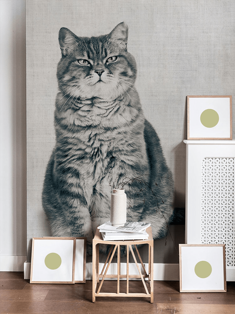 Cute Fat Cat grey animal wallpaper custom design