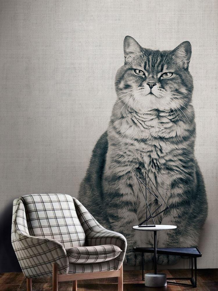 Cute Fat Cat animal wallpaper interior art