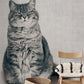 Cute Fat Cat animal wallpaper decoration idea