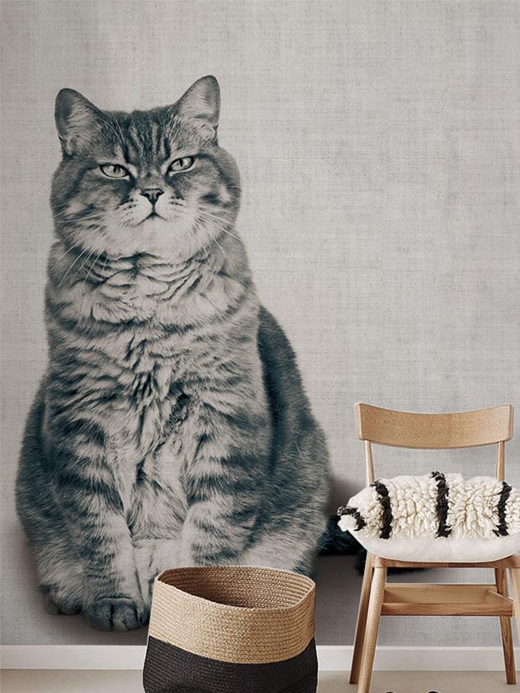 Cute Fat Cat animal wallpaper decoration idea