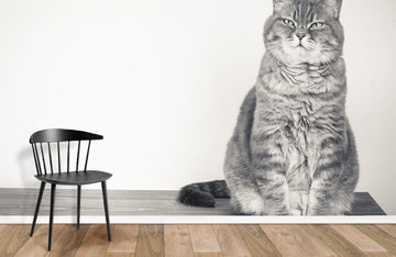 Sophisticated Feline Black White Mural Wallpaper
