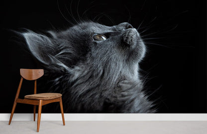 Cute Gray Cat Wall Mural For Room