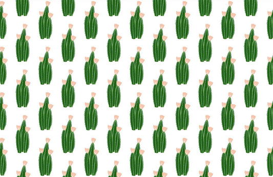 Cute Green Cactus Wallpaper Mural Custom Art Design
