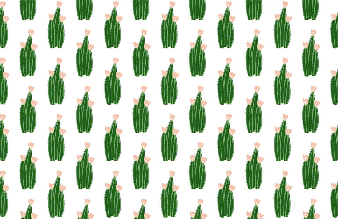 Green Cactus Botanical Illustration Mural Wallpaper