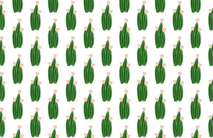 Cute Green Cactus Wallpaper Mural Custom Art Design