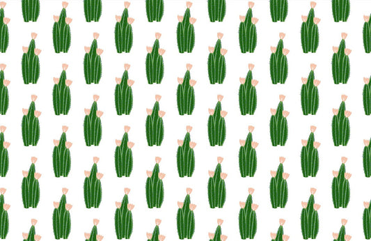 Cute Green Cactus Wallpaper Mural Custom Art Design