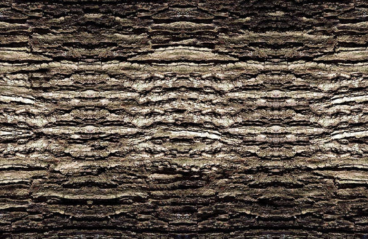 Rustic Textured Bark Mural Wallpaper