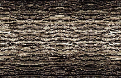 Rustic Textured Bark Mural Wallpaper