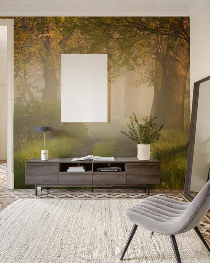 morning sunshine forest wallpaper decoration art