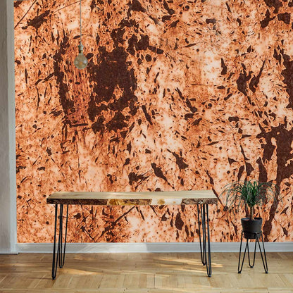 Abstract Rust Speckled Mural Wallpaper in living room