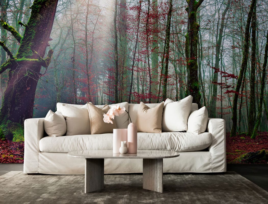 Early Autumn Forest Wallpaper Mural for the Decoration of the Living Room