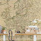 Vintage Map Europe Wall Mural in office