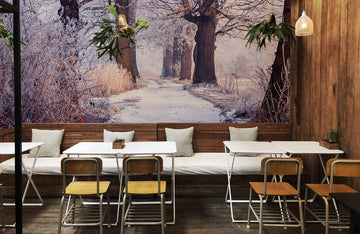 Misty Winter Forest Path Mural Wallpaper