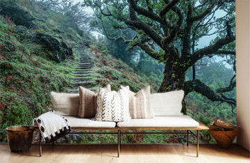 Mystical Forest Stairway Scenic Mural Wallpaper