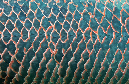 Abstract Teal Wavy Lines Mural Wallpaper