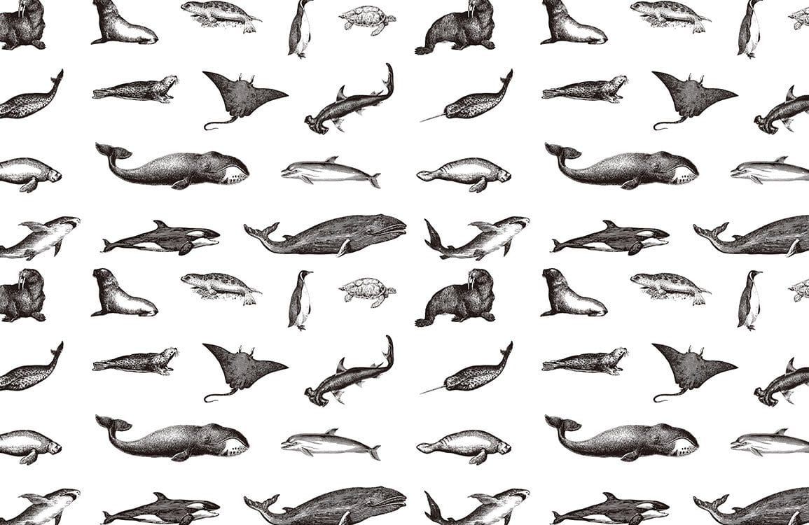 Marine Life Sketch Monochrome Mural Wallpaper