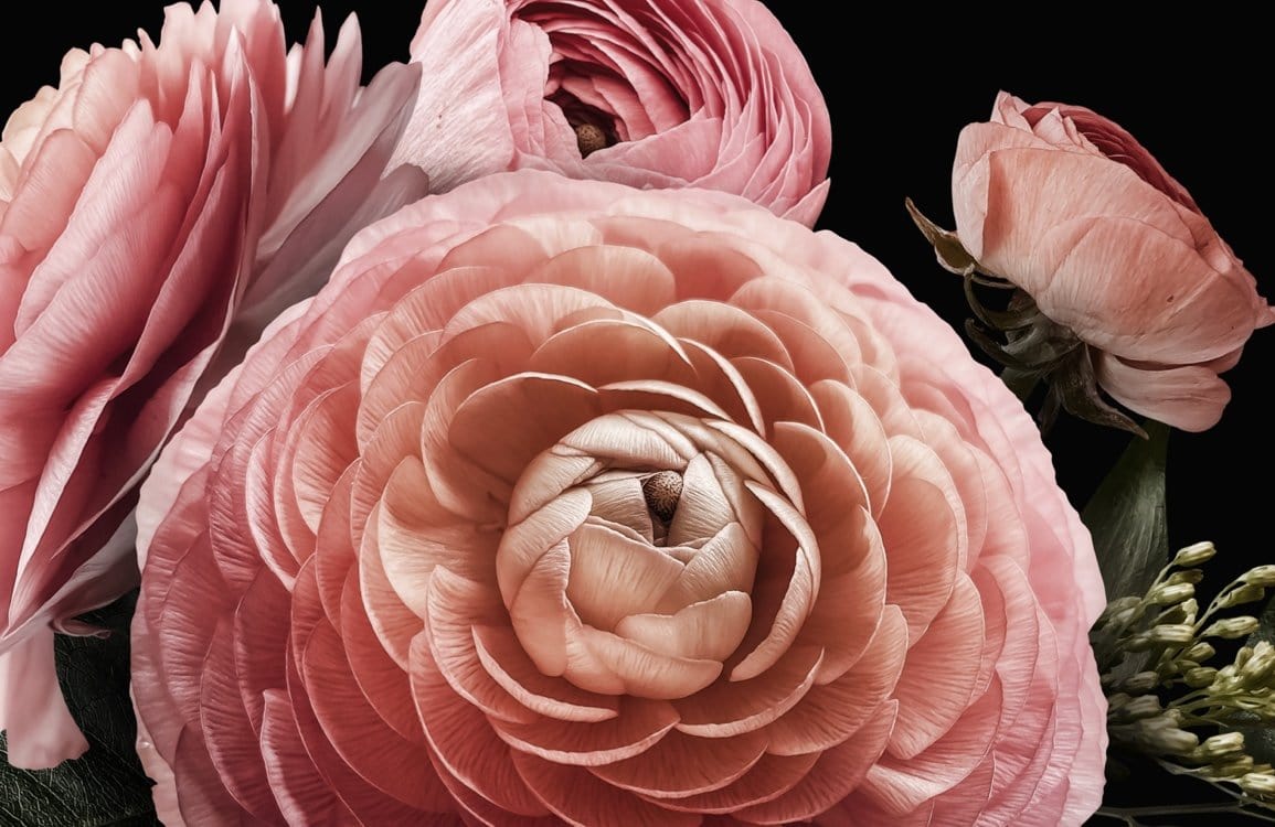 Elegante rosa florale Wandtapete