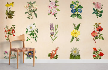 Vintage Botanical Illustration Wall Mural Wallpaper