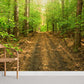 Forest Alley Green Wallpaper Mural For Room