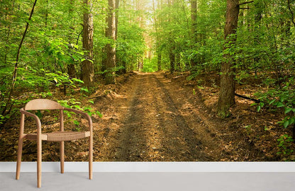 Forest Alley Green Wallpaper Mural For Room