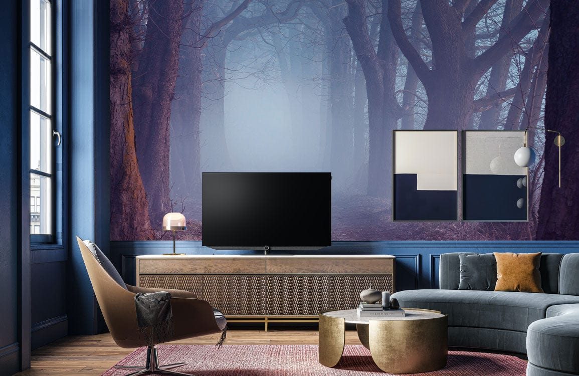 Wallpaper mural of fog in the woodland for living room décor