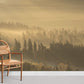 sunshine through fog and cloud forest wallpaper for room