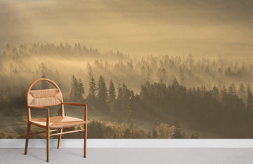 Misty Forest Sunrise Landscape Mural Wallpaper