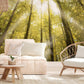 Forest mural living room wallpaper