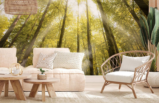 Forest mural living room wallpaper