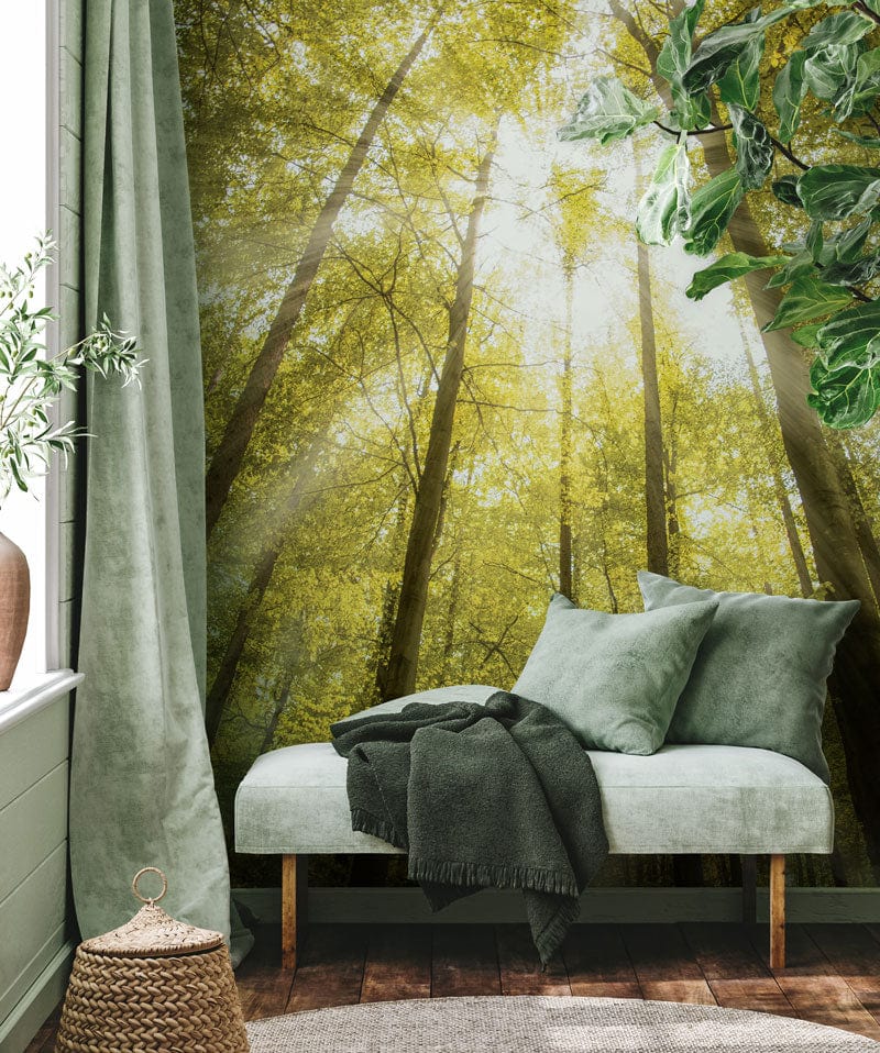 Forest wallpaper mural lounge decor
