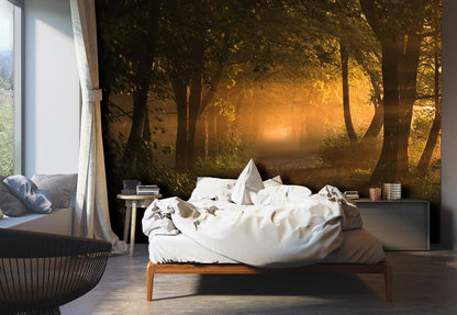 forest tree sunshine wallpaper decoration art bedroom
