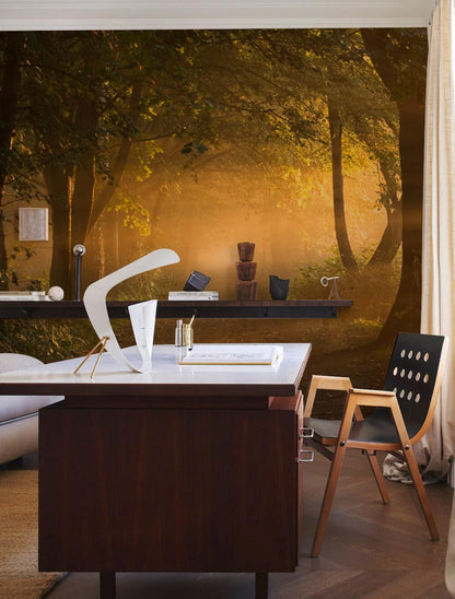 sunshine through jungle hole wallpaper design for office