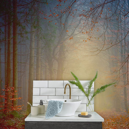 Bathroom Wall Mural Featuring a Scene from the Forest in Late Autumn