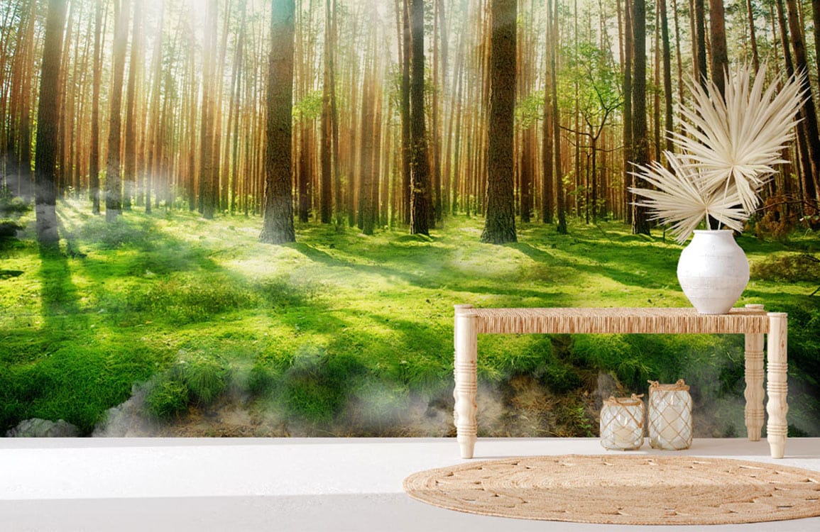 Lawn in forest wallpaper mural interior