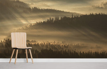 Misty Forest Sunrise Wandtapete