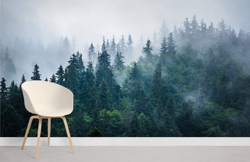 Papier Peint Panoramique Brume Forestière