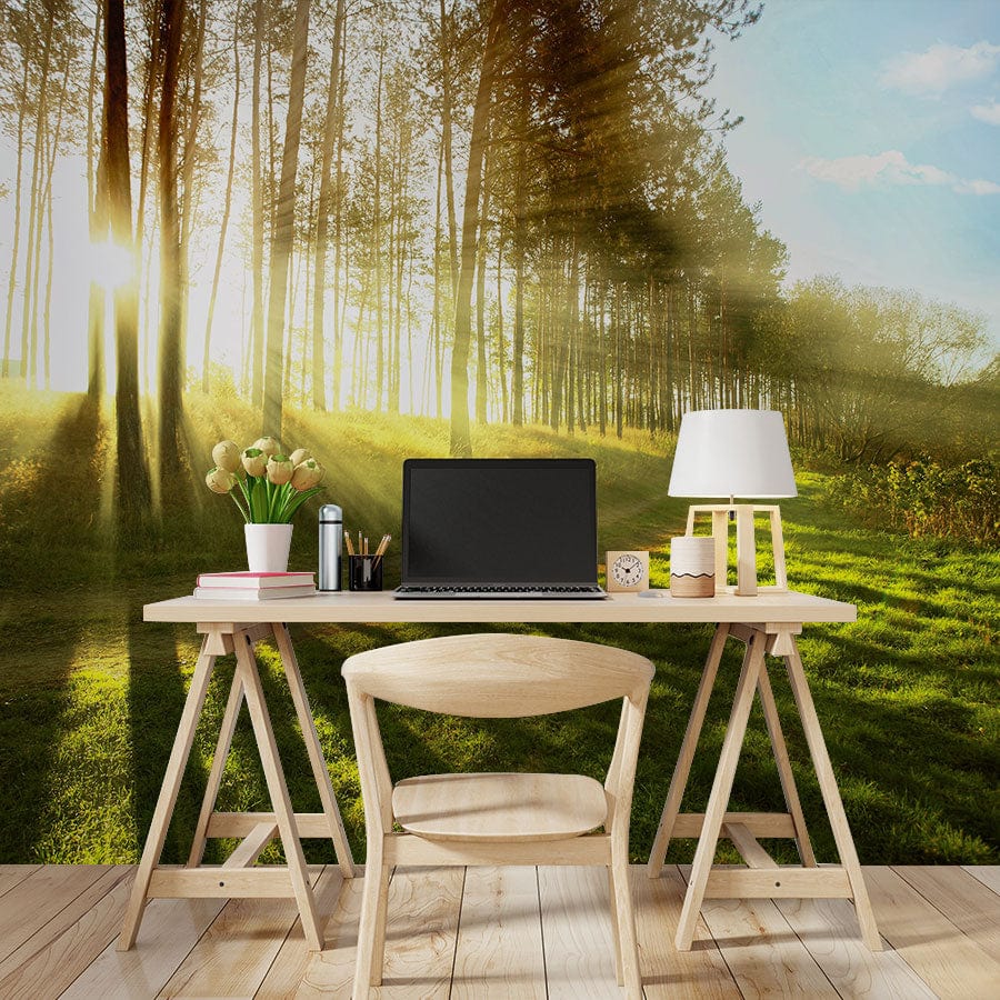 Wallpaper mural forest scene for the workplace décor