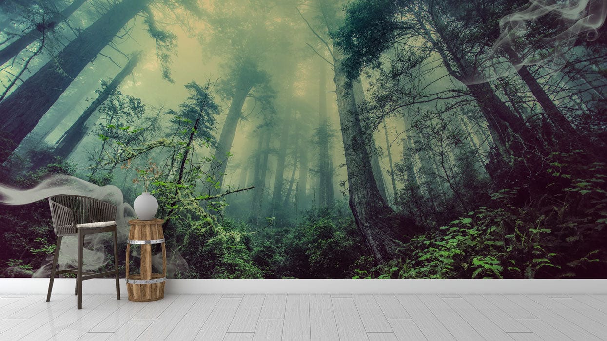 misty forest wallpaper mural home interior design