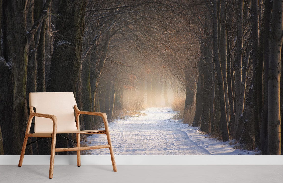 lonely snow path in forest wallpaper for room