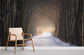 Misty Forest Snow Path Mural Wallpaper