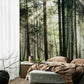 Bedroom wall mural with 3D visual effect of a forest and sunshine