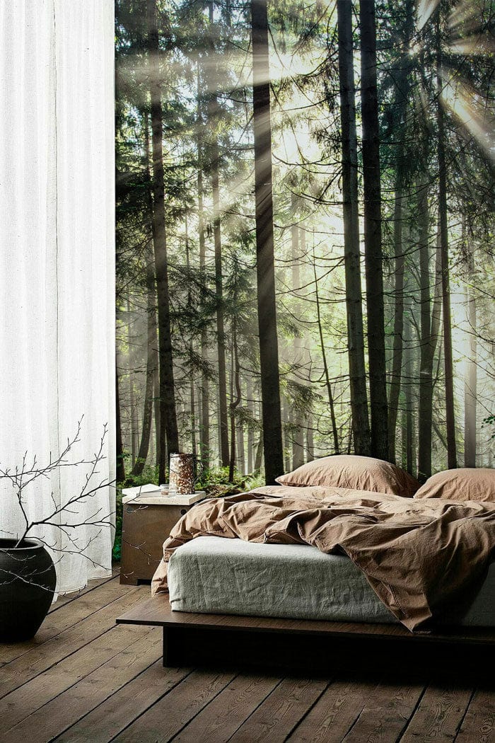 Bedroom wall mural with 3D visual effect of a forest and sunshine