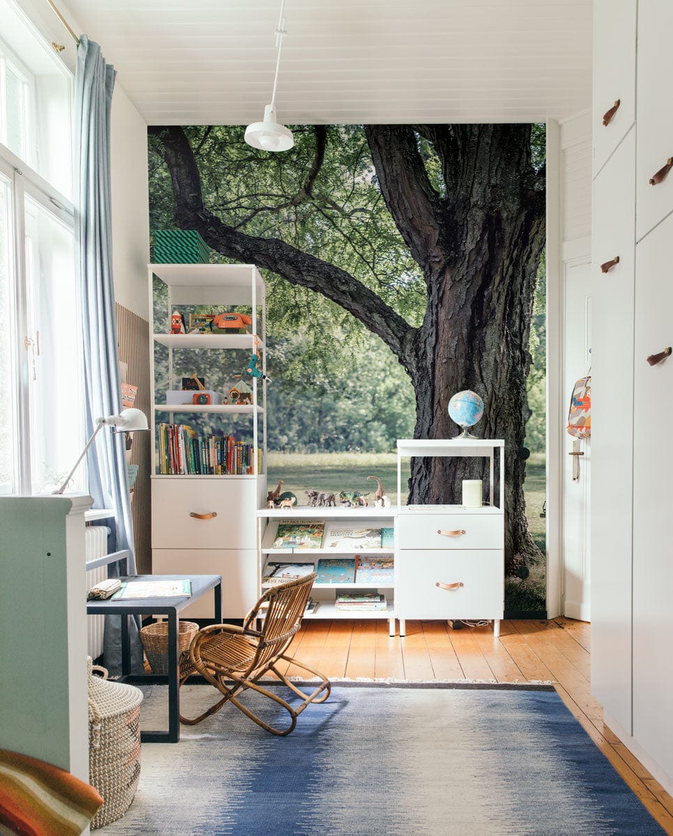 Study room forest swing mural design