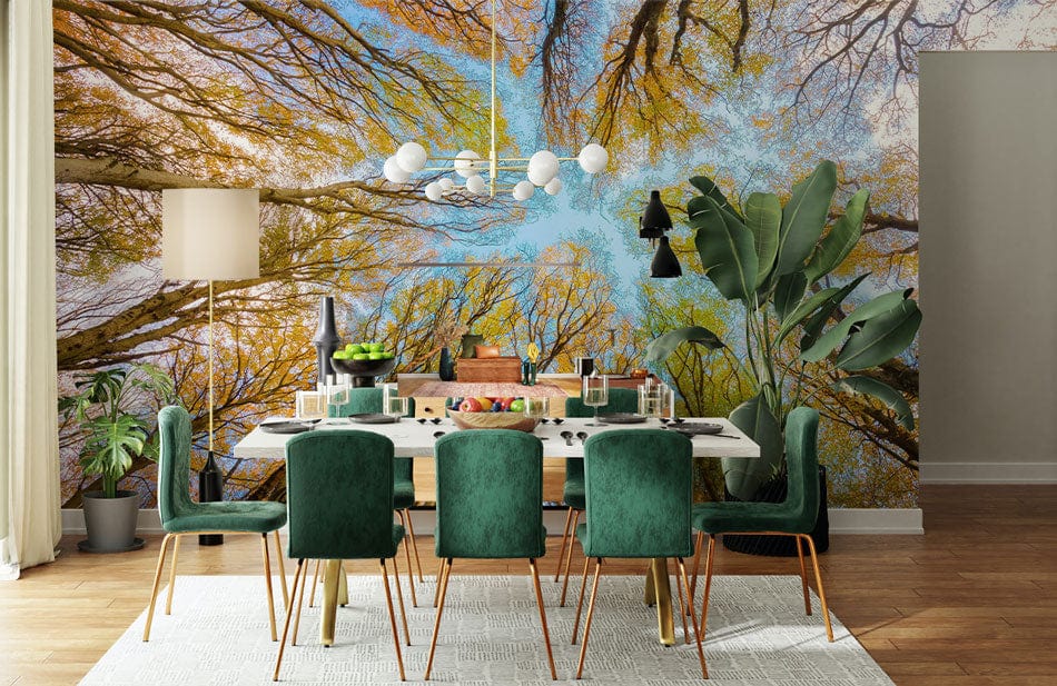 forest through sky wallpaper mural dining room decoration idea