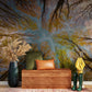 forest sky wallpaper mural hallway decor