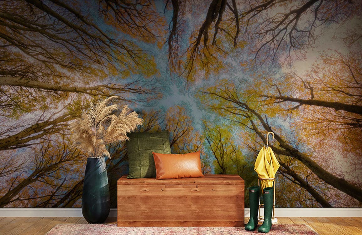 forest sky wallpaper mural hallway decor