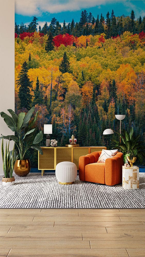 autumn forest landscape wall mural living room decor idea