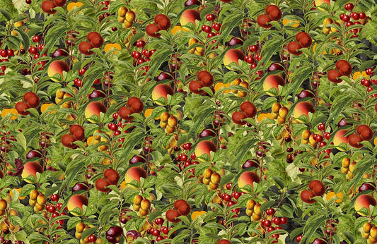 Vintage Fruit Garden Botanical Mural Wallpaper